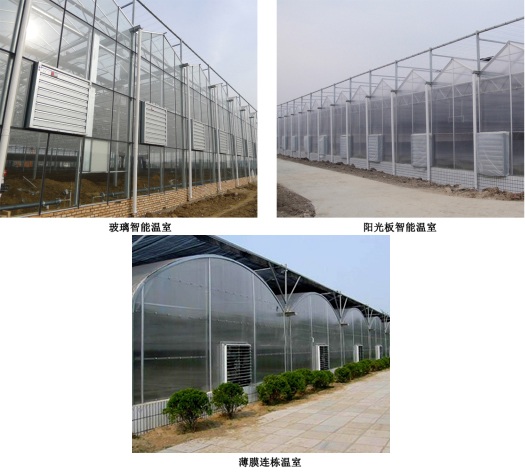 玻璃智能溫室、陽光板智能溫室、薄膜連棟溫室